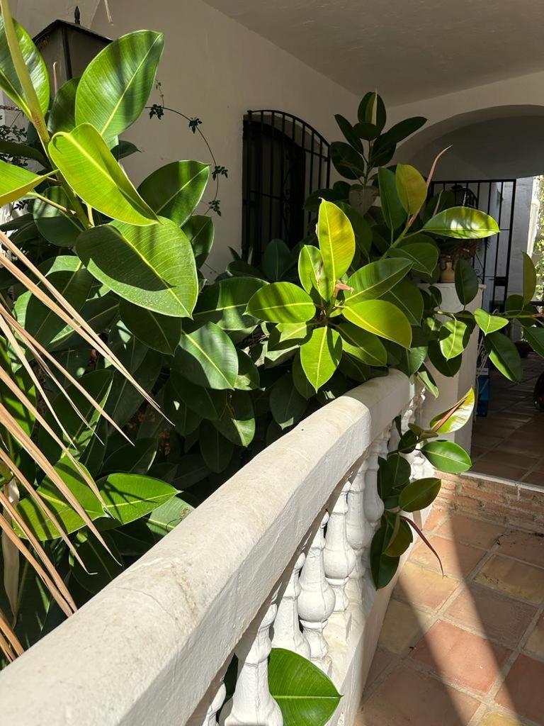 Appartement Monte Cielo à Nerja Extérieur photo